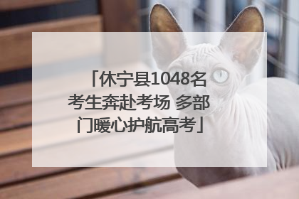 休宁县1048名考生奔赴考场 多部门暖心护航高考