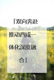 双向奔赴推动西咸一体化深度融合
