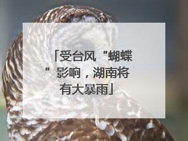 受台风“蝴蝶”影响，湖南将有大暴雨