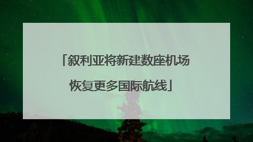 叙利亚将新建数座机场 恢复更多国际航线