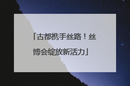 古都携手丝路！丝博会绽放新活力