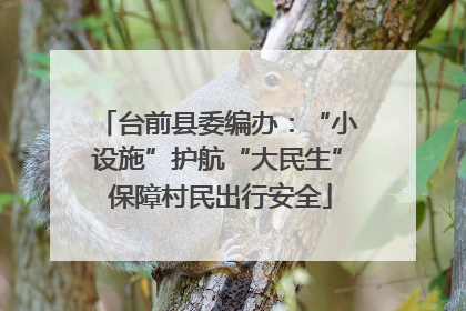 台前县委编办：“小设施”护航“大民生” 保障村民出行安全