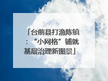 台前县打渔陈镇：“小网格”铺就基层治理新图景