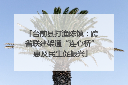 台前县打渔陈镇：跨省联建架通“连心桥” 惠及民生促振兴