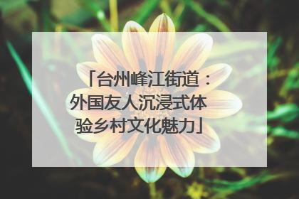 台州峰江街道：外国友人沉浸式体验乡村文化魅力
