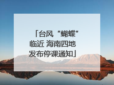 台风“蝴蝶”临近 海南四地发布停课通知