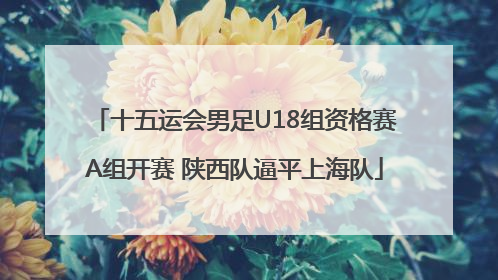 十五运会男足U18组资格赛A组开赛 陕西队逼平上海队