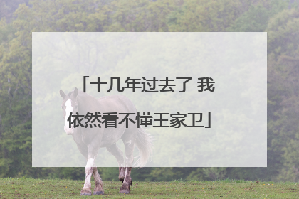 十几年过去了 我依然看不懂王家卫