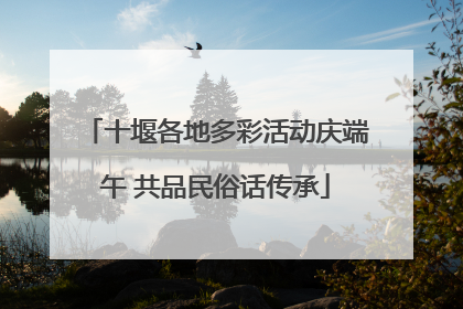 十堰各地多彩活动庆端午 共品民俗话传承
