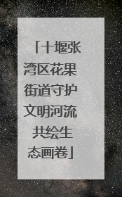 十堰张湾区花果街道守护文明河流 共绘生态画卷