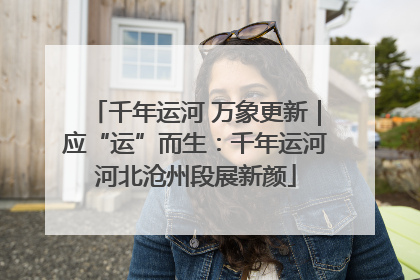 千年运河 万象更新｜应“运”而生：千年运河河北沧州段展新颜