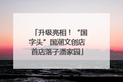 升级亮相！“国字头”国潮文创店首店落子潘家园