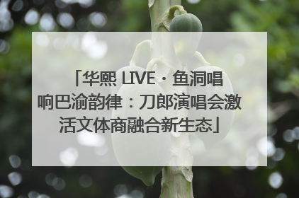 华熙 LIVE・鱼洞唱响巴渝韵律：刀郎演唱会激活文体商融合新生态