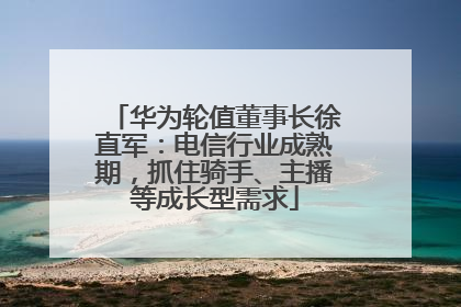 华为轮值董事长徐直军：电信行业成熟期，抓住骑手、主播等成长型需求