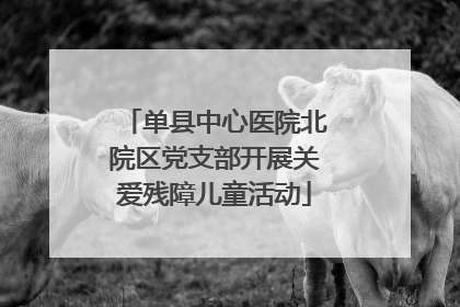 单县中心医院北院区党支部开展关爱残障儿童活动