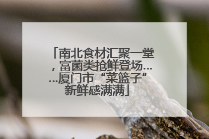 南北食材汇聚一堂，富菌类抢鲜登场……厦门市“菜篮子”新鲜感满满