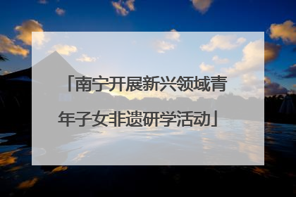 南宁开展新兴领域青年子女非遗研学活动