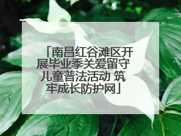 南昌红谷滩区开展毕业季关爱留守儿童普法活动 筑牢成长防护网
