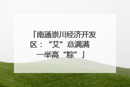 南通崇川经济开发区：“艾”意满满 一举高“粽”