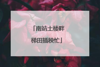 南靖土楼畔 梯田插秧忙
