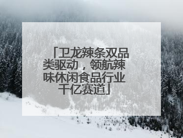 卫龙辣条双品类驱动，领航辣味休闲食品行业千亿赛道