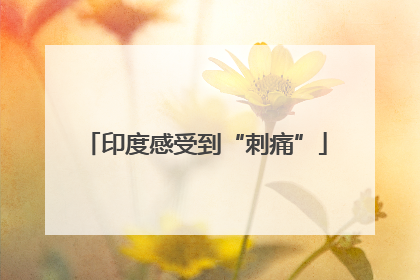印度感受到“刺痛”