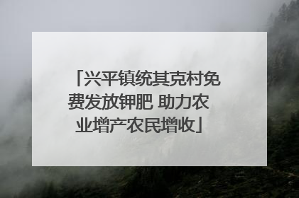 兴平镇统其克村免费发放钾肥 助力农业增产农民增收
