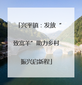 兴平镇：发放“致富羊”助力乡村振兴启新程