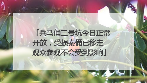 兵马俑三号坑今日正常开放，受损秦俑已移走 观众参观不会受到影响