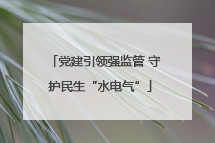 党建引领强监管 守护民生“水电气”