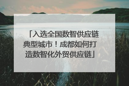 入选全国数智供应链典型城市！成都如何打造数智化外贸供应链