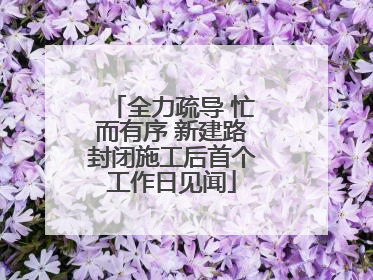 全力疏导 忙而有序 新建路封闭施工后首个工作日见闻