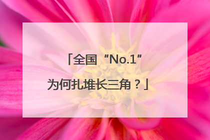 全国“No.1”为何扎堆长三角？