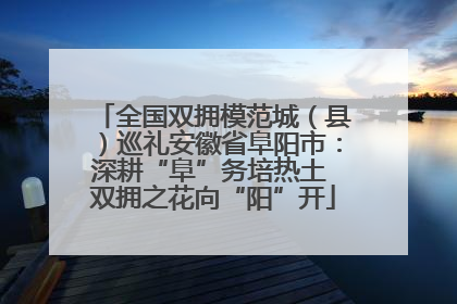 全国双拥模范城（县）巡礼安徽省阜阳市：深耕“阜”务培热土 双拥之花向“阳”开