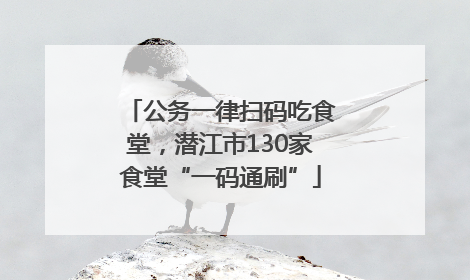 公务一律扫码吃食堂，潜江市130家食堂“一码通刷”