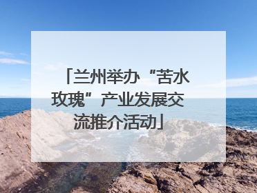 兰州举办“苦水玫瑰”产业发展交流推介活动