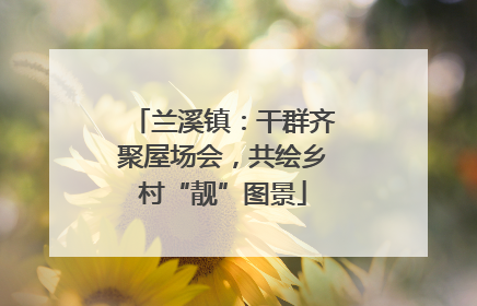 兰溪镇：干群齐聚屋场会，共绘乡村“靓”图景