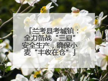 兰考县考城镇：全力备战“三夏”安全生产，确保小麦“丰收在仓”