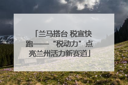 兰马搭台 税宣快跑——“税动力”点亮兰州活力新赛道