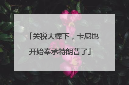 关税大棒下，卡尼也开始奉承特朗普了