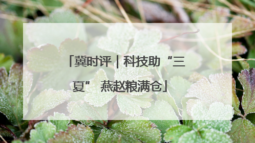 冀时评｜科技助“三夏” 燕赵粮满仓