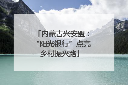 内蒙古兴安盟：“阳光银行”点亮乡村振兴路