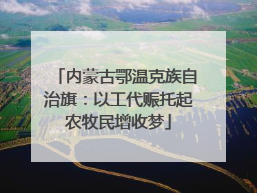 内蒙古鄂温克族自治旗：以工代赈托起农牧民增收梦