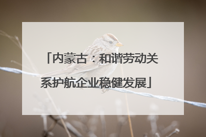 内蒙古：和谐劳动关系护航企业稳健发展