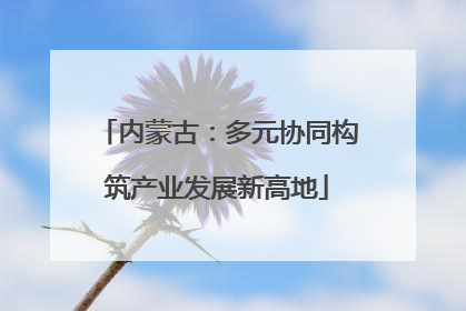 内蒙古：多元协同构筑产业发展新高地