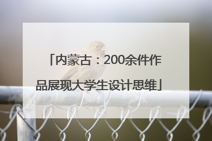 内蒙古：200余件作品展现大学生设计思维