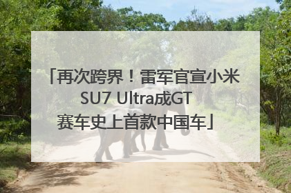 再次跨界！雷军官宣小米SU7 Ultra成GT赛车史上首款中国车