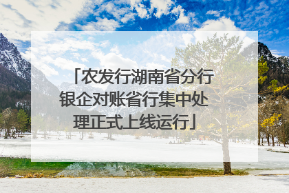 农发行湖南省分行银企对账省行集中处理正式上线运行