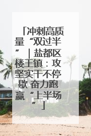 冲刺高质量“双过半”｜盐都区楼王镇：攻坚实干不停歇 奋力跑赢“上半场”