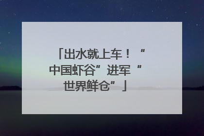出水就上车！“中国虾谷”进军“世界鲜仓”